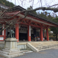 Where did reiki originate?