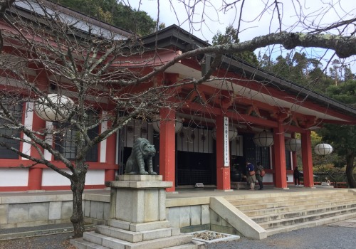 Where did reiki originate?